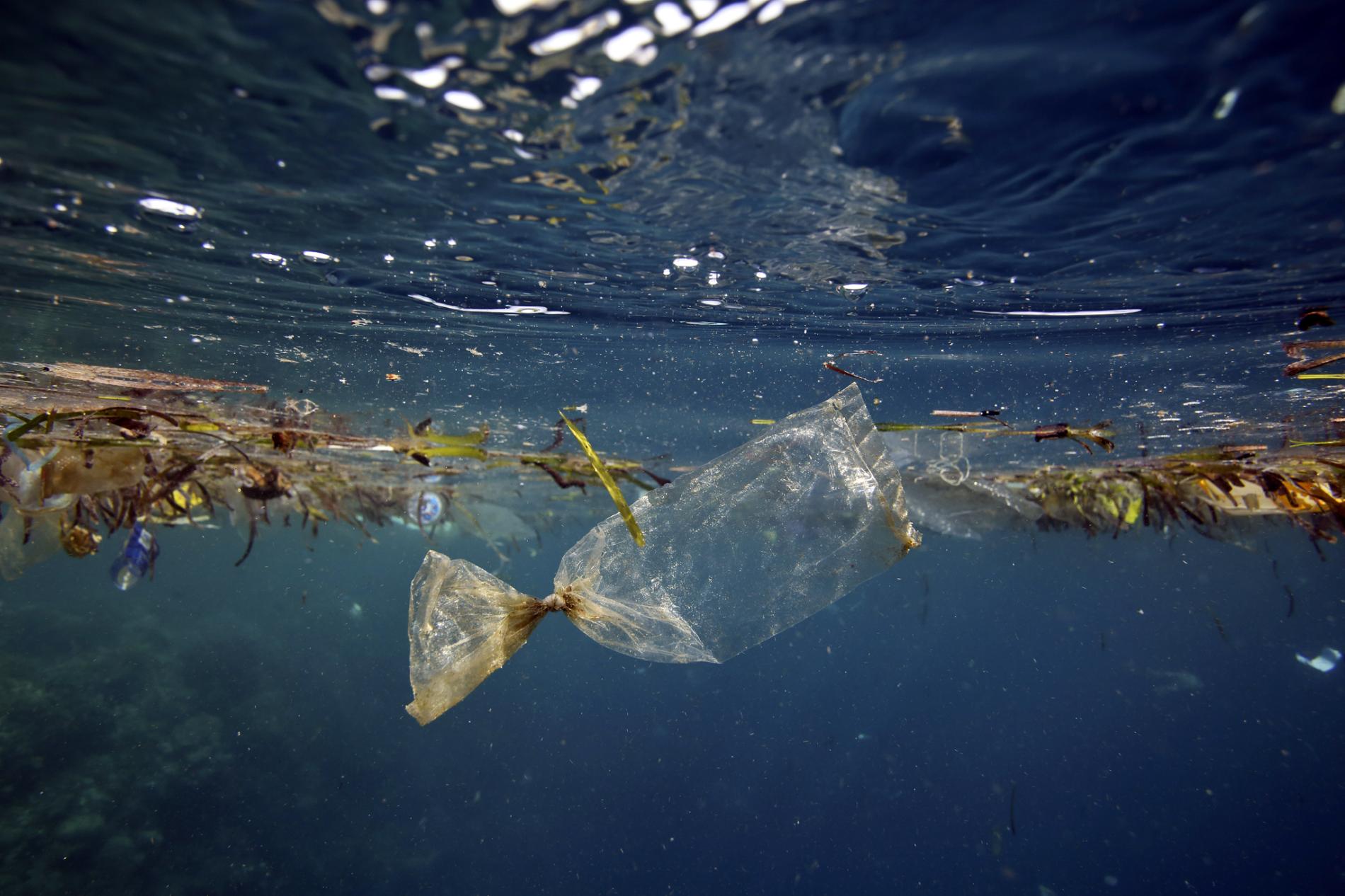 Plastic Floating in the Ocean - Paul Kennedy - GettyImages